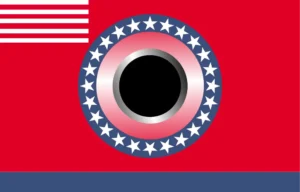 The Vinyl of America