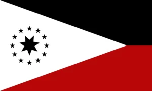 Battlefield0: Workers Party of Pluto flag