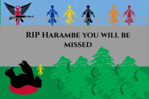 Death of harambe