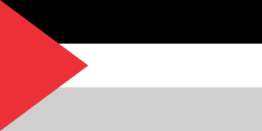 Zigna Pro-Palestine flag