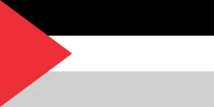 Zigna Pro-Palestine flag