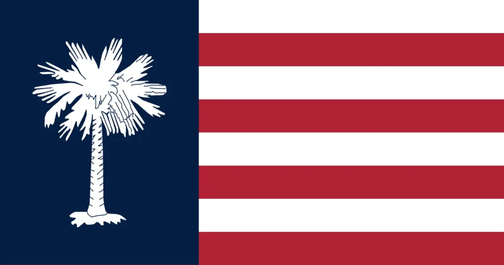 Simplistic South Carolina Redesign