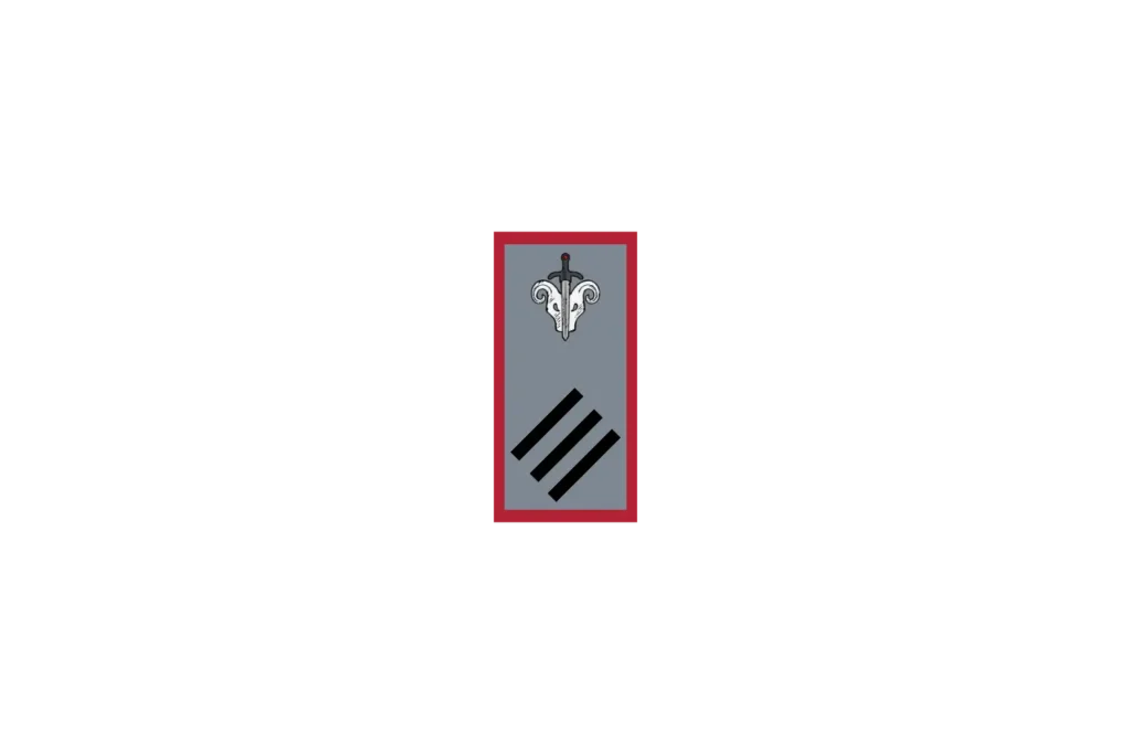 RSOG Shoulder Tab Design (Used on Shoulders)