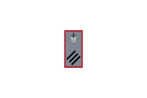RSOG Shoulder Tab Design (Used on Shoulders)