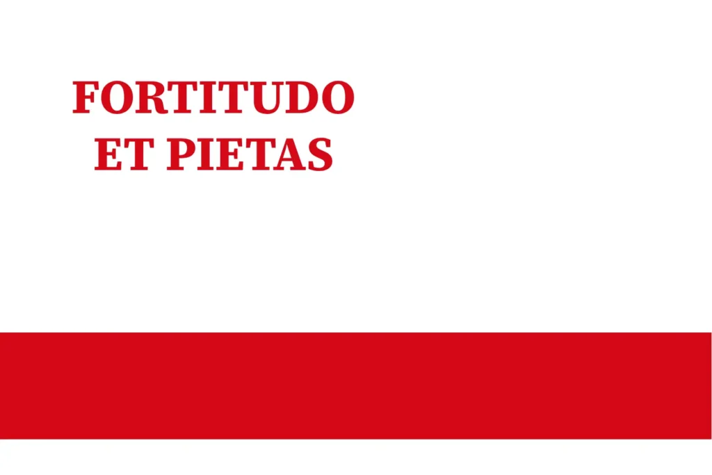 County of Virella (1095-1496) flag