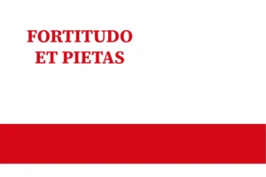 County of Virella (1095-1496) flag