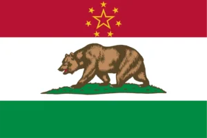 Democratic Socialism California