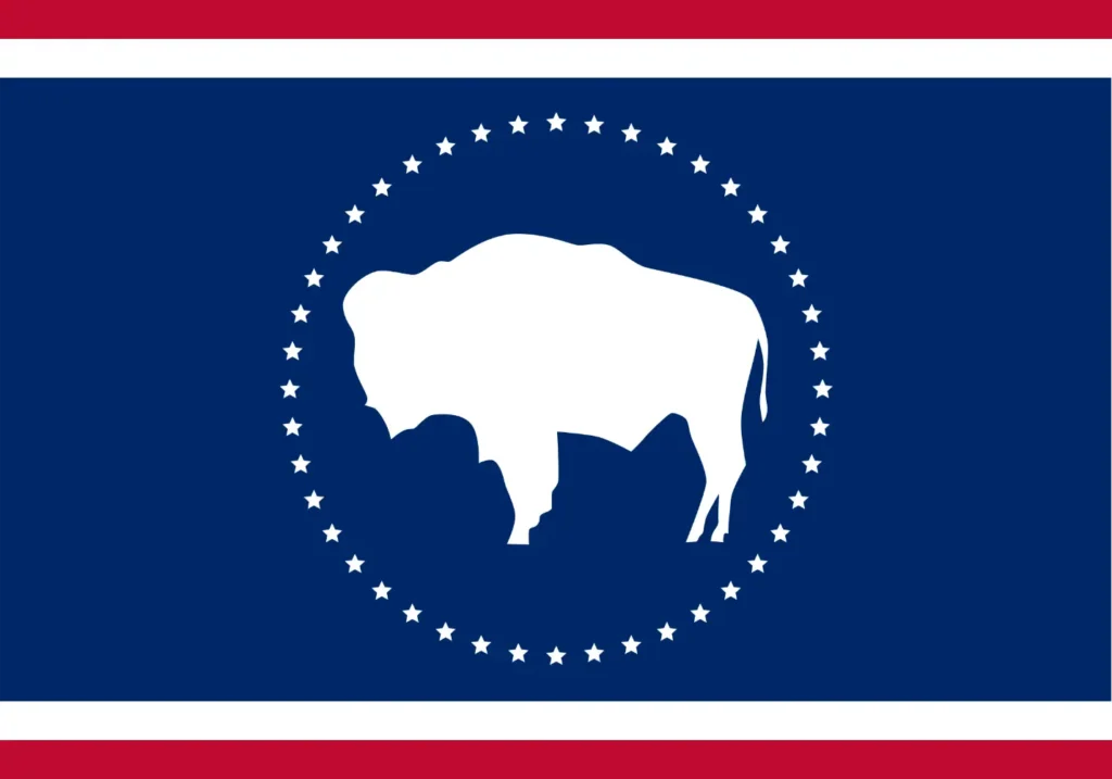 Simplistic Wyoming Redesign