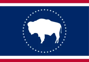 Simplistic Wyoming Redesign