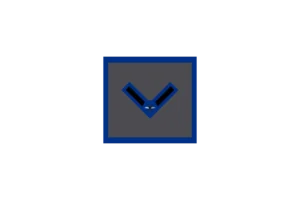Flight Corps Specialist 2nd Class