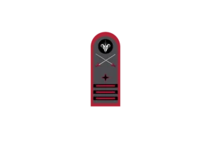 RSOG Captain Shoulder Board