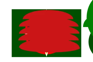 Rkfd flag with color swirl 2026 May 13th tree in bck?