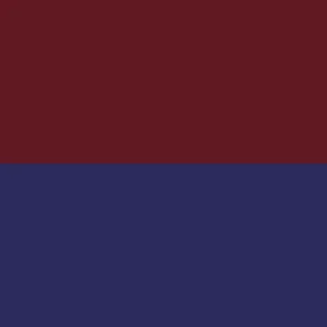 Rutshire Regiment TRF 1975-2003