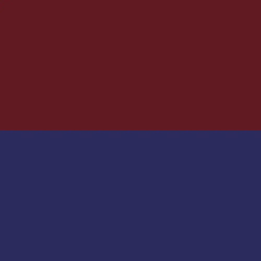 Rutshire Regiment TRF 1975-2003