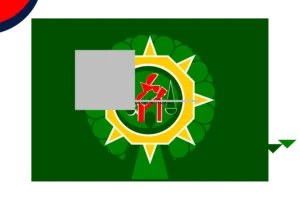city flag without red or blue