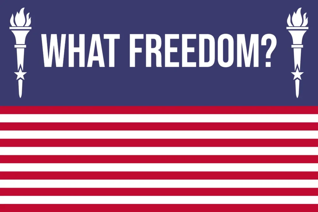 “What Freedom?” US Protest Flag