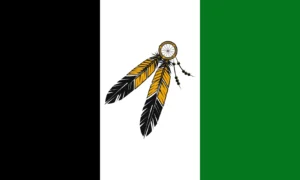 Damerland