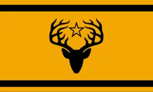 Hazarnav Army flag