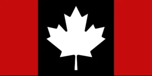 Canadian War Force Flag Idea
