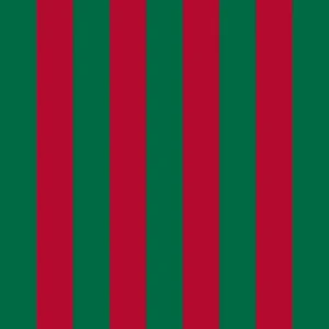 Blicpupa