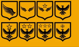 Hazarnav Air Force Ranks