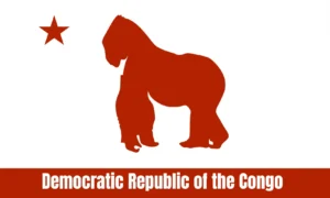 DRC in the style of California