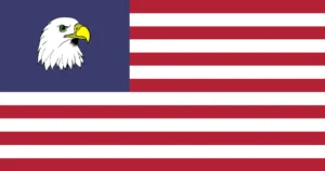 Peterson Flag of the United States