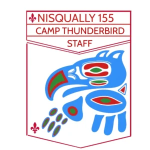 crappy tbird patch design