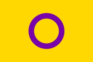 Intersex Flag Official