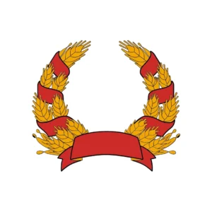 Socialist template (for COA)