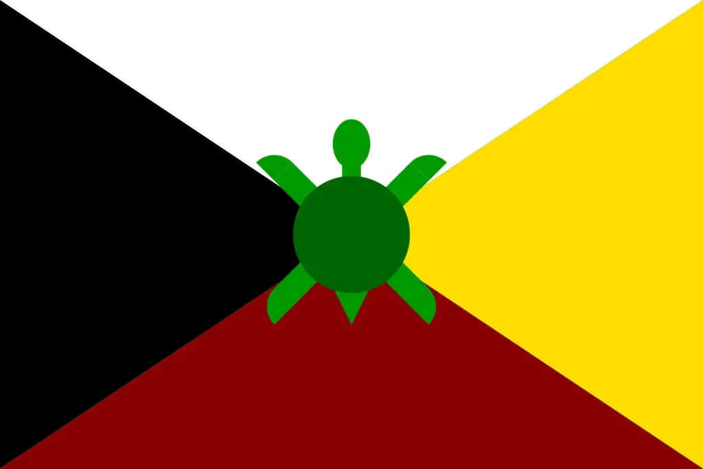 Turtle island Flag