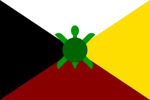 Turtle island Flag