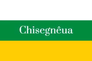 Cit&aelig; de Chisegn&ecirc;ua