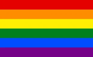 Rainbow LGBTQ Pride Flag Official