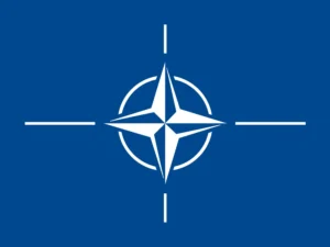 NATO Flag Official