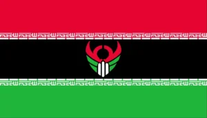 flag 5