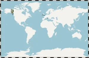 Blank World (Miller)