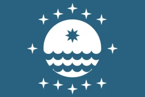 LSA Flag