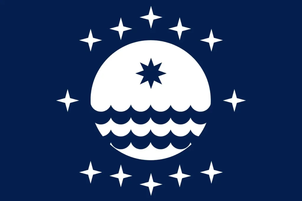 LSA Flag