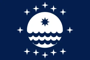 LSA Flag