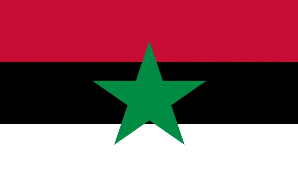 flag 19