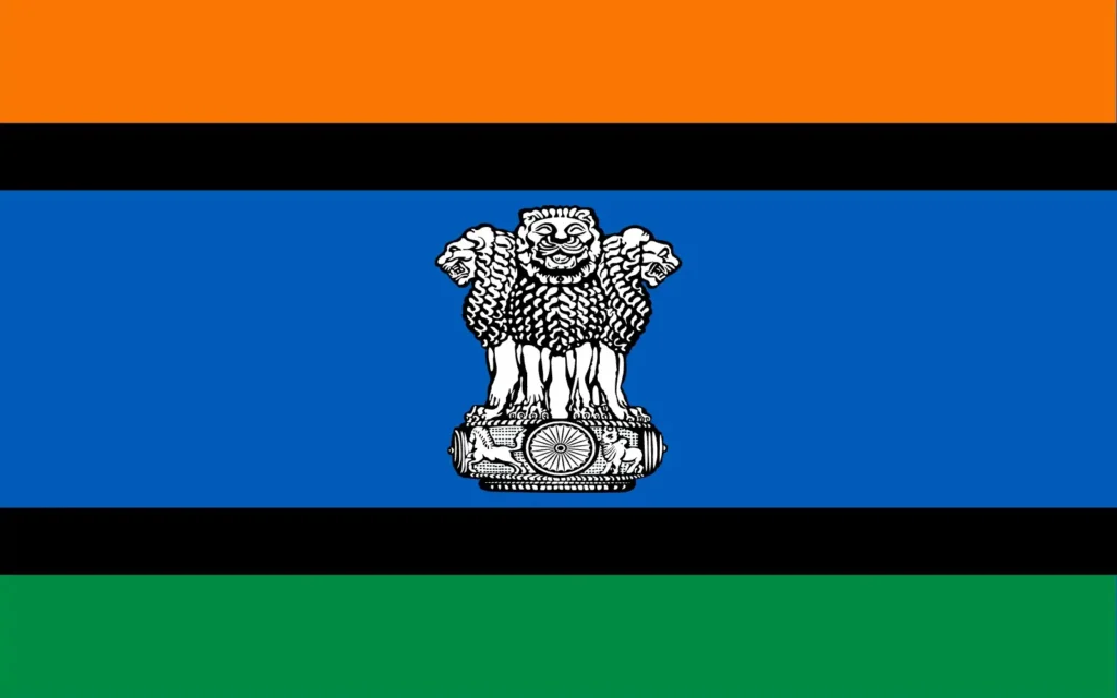 flag 13