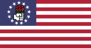 The New American Republic